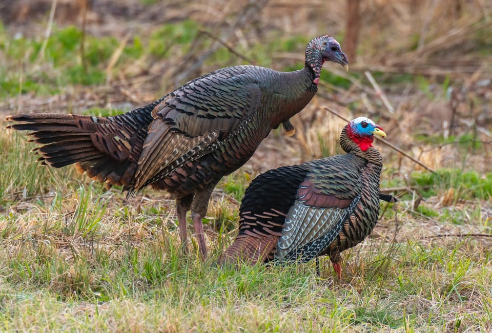 AdobeStock_264224647