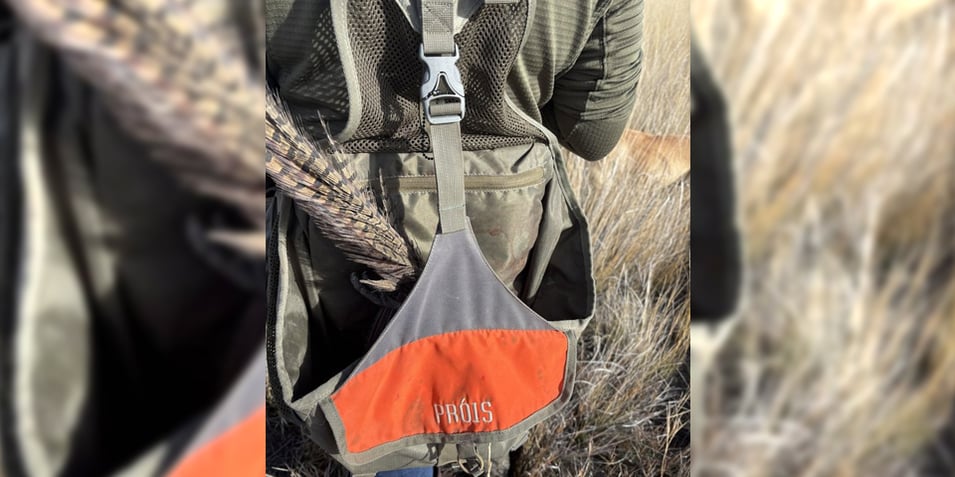 Dont-Forget-Those-Pheasant-Legs-Footer