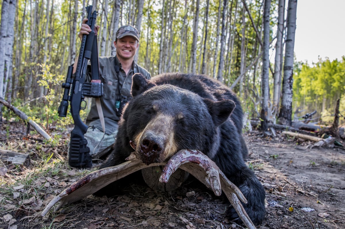 Northern Exposure: Hunting Alberta’s Massive Black Bears