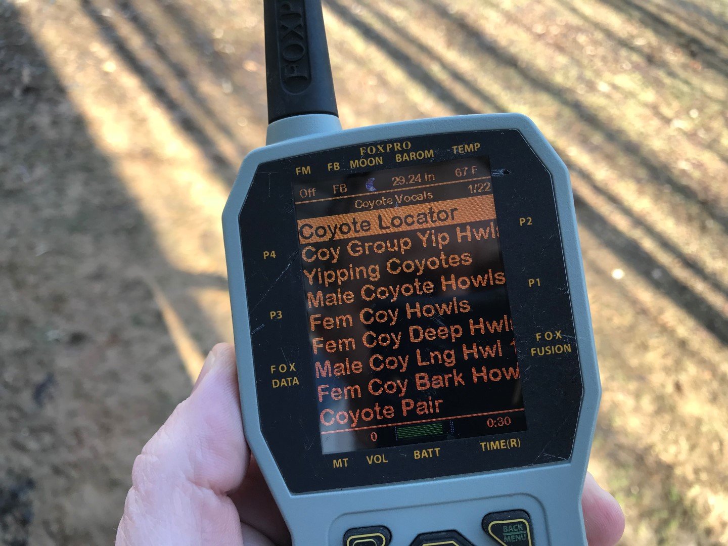 Cold Calling vs. Locating For Coyotes