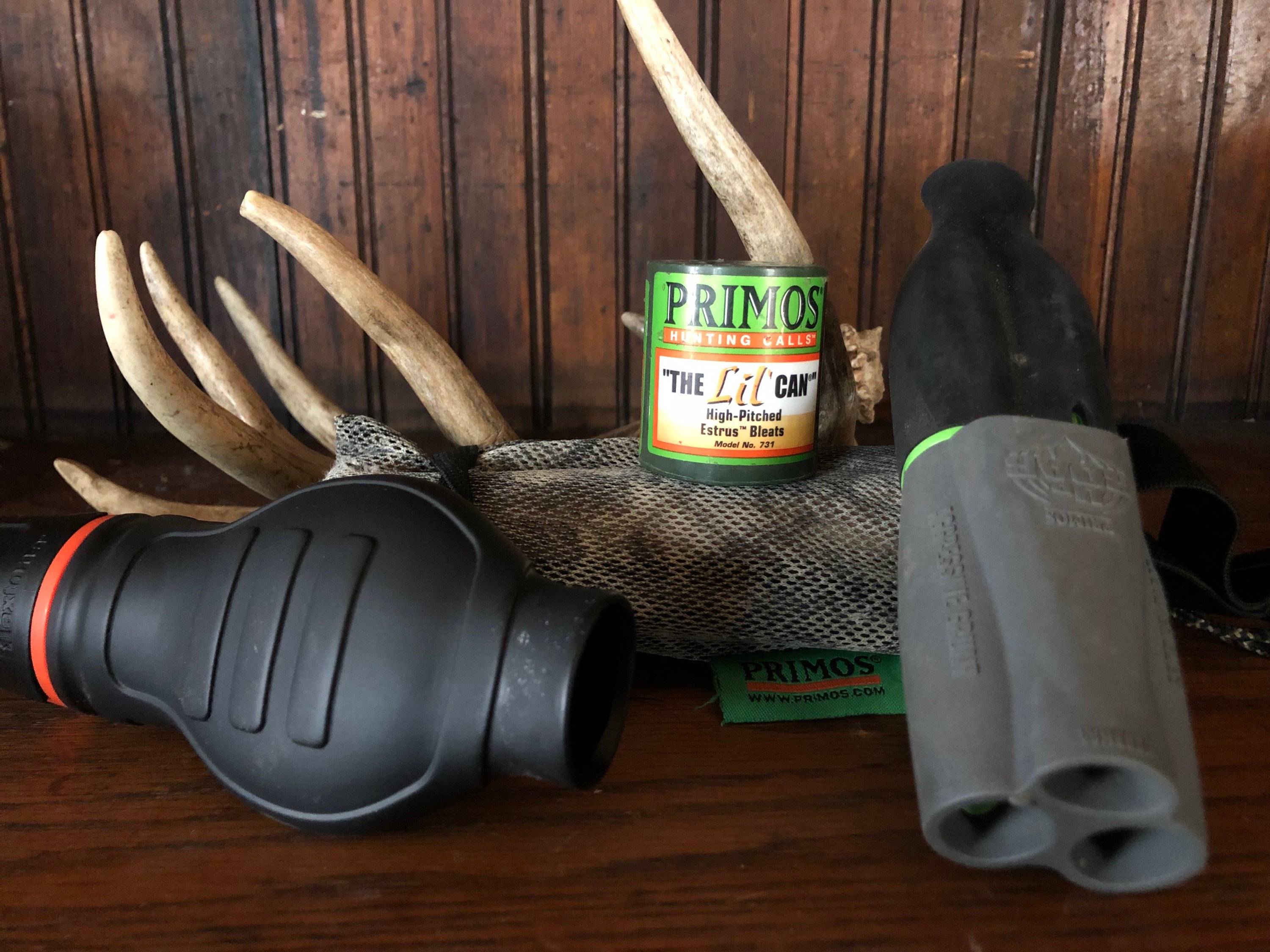 Calling Whitetail Deer Does it Still Work?