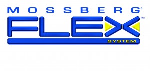 FLEX_SYSTEM_LOGO_Blue