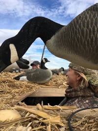 Goose-Hunting-Tips | Mossberg