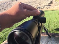 The How's and Why's of Bore Sighting A Bolt-Action Rifle | Mossberg