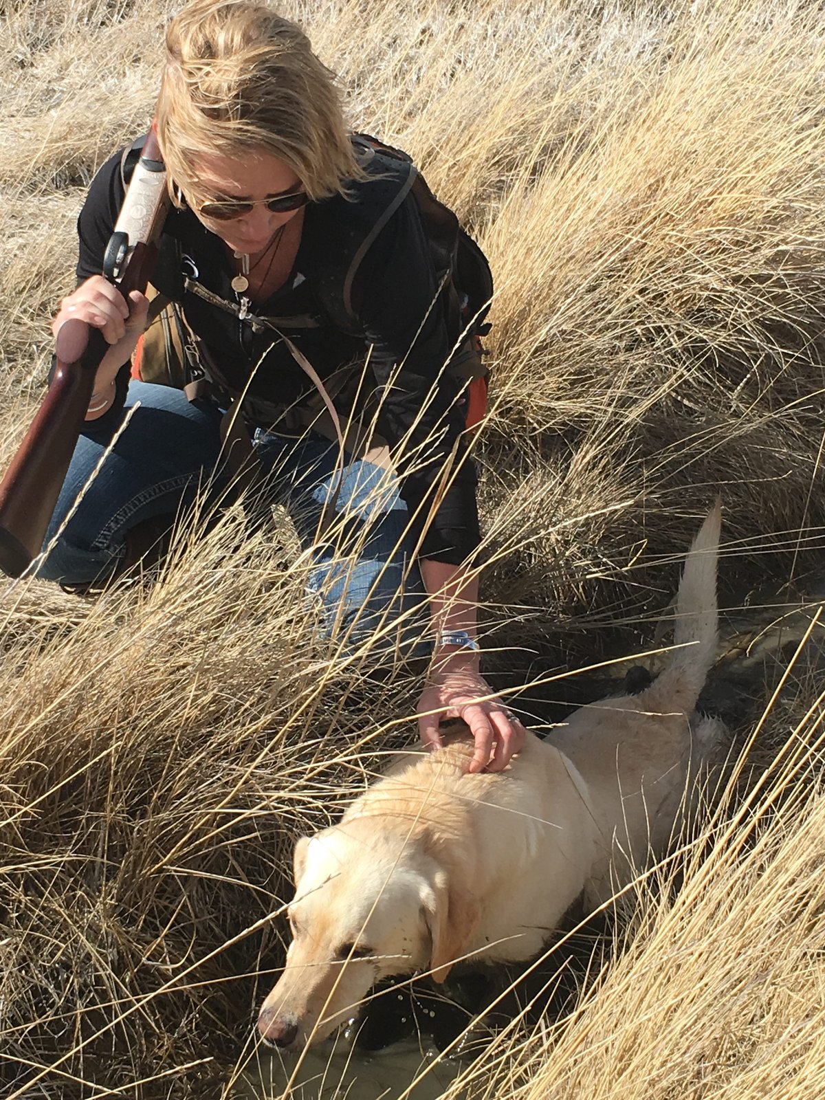 Care for Your Dog in the Field | Mossberg