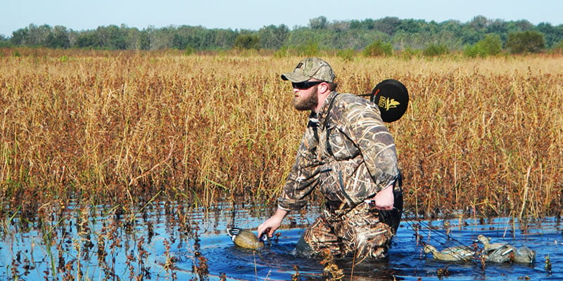 teal hunting tips