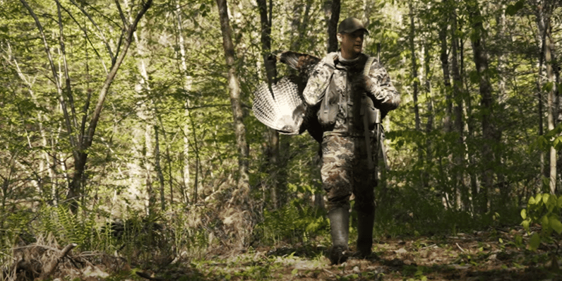 The BEST Way to Set Up On a Gobbling Turkey