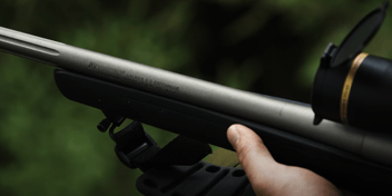 Black Bear Hunt with 6.5 Creedmoor