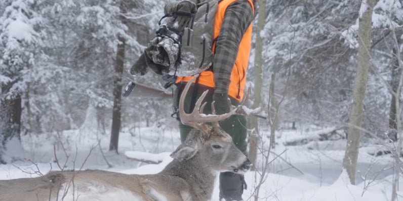 Late-Season Whitetail Tips