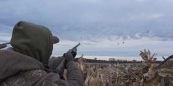 Late Season Duck Scouting Truth Nobody Thinks About