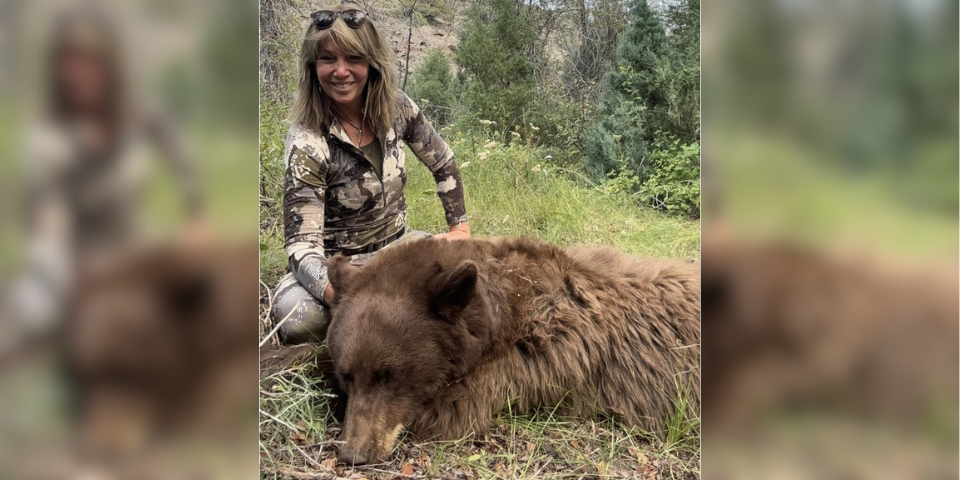 Pike - Cinnamon Bear