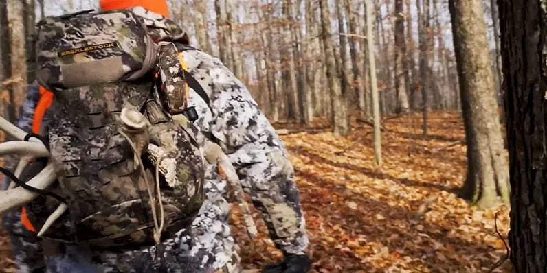 tracking a deer's blood trail