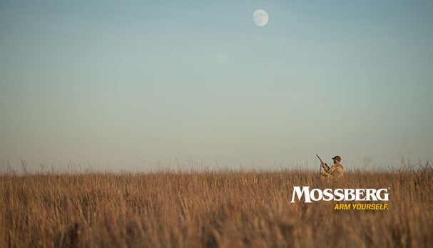 mossberg-wallpaper-guy-in-field-CTA.jpg