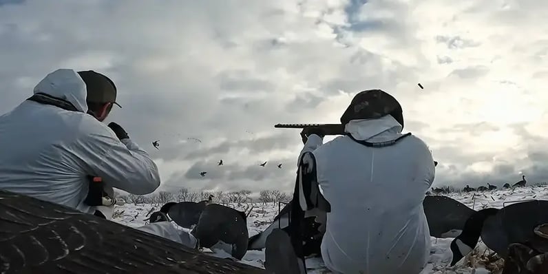 late season goose hunting