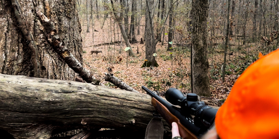 Avery at the log blind with her Mossberg Patriot at the ready.