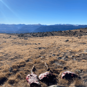 moss-Playing the Colorado Preference Point Game Pays Off Elk Legs