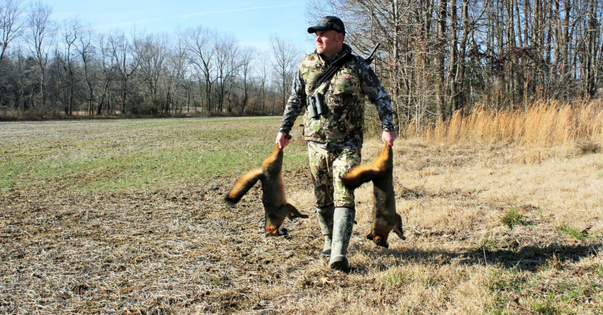 moss-brodie with foxes