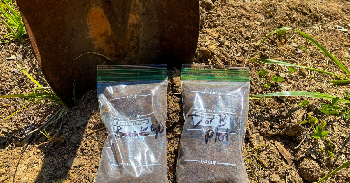 moss-soil sample