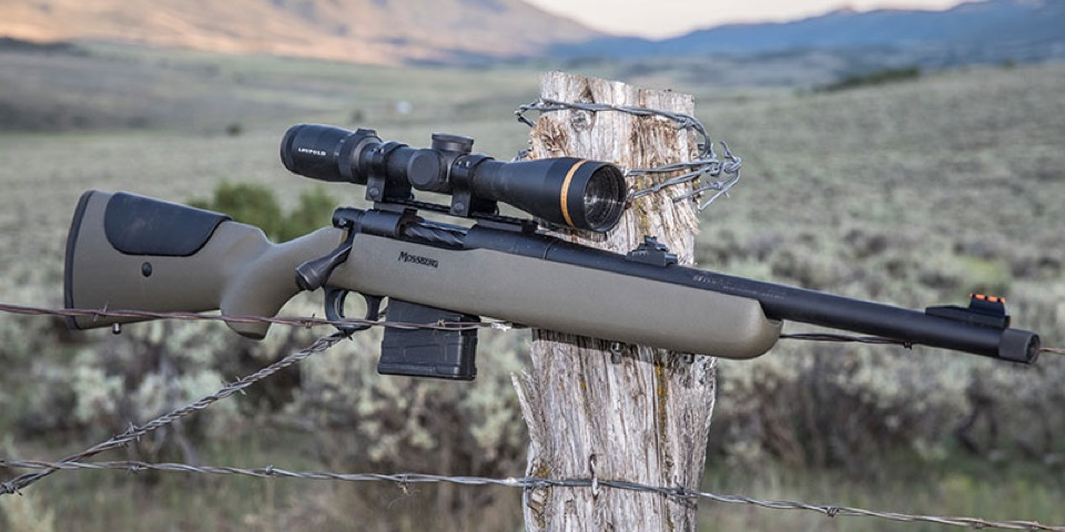 7 Golden Rules Of Long Range Shooting