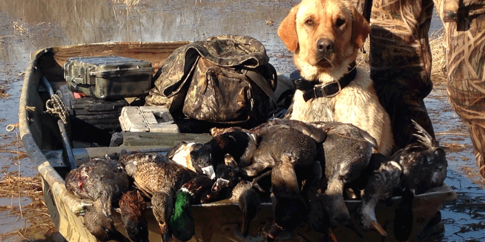 Pre Season Prep for Waterfowlers