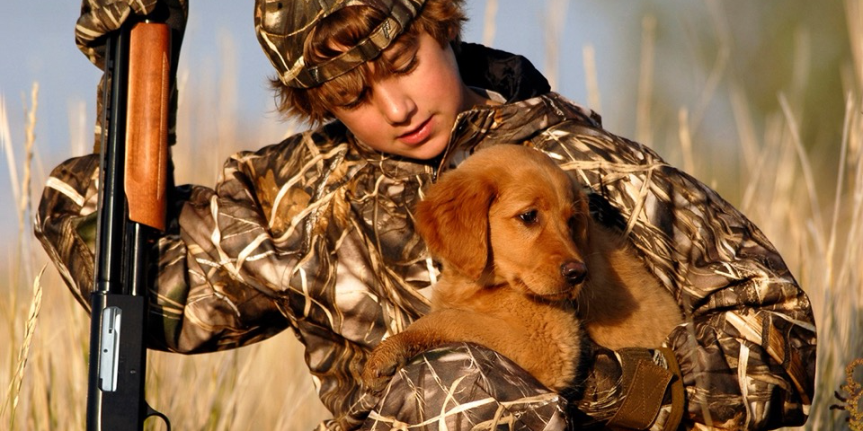 From Pup to Companion: How to Train a Puppy to Hunt