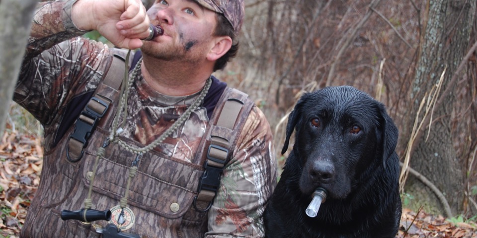 What Hunting Dogs Have Taught Me About Life