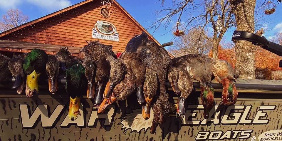 Top 5 Duck Hunting States for Mallard Maniacs