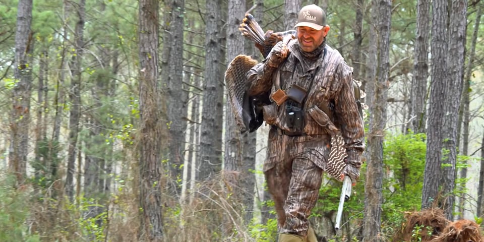 Locating a Wounded Longbeard