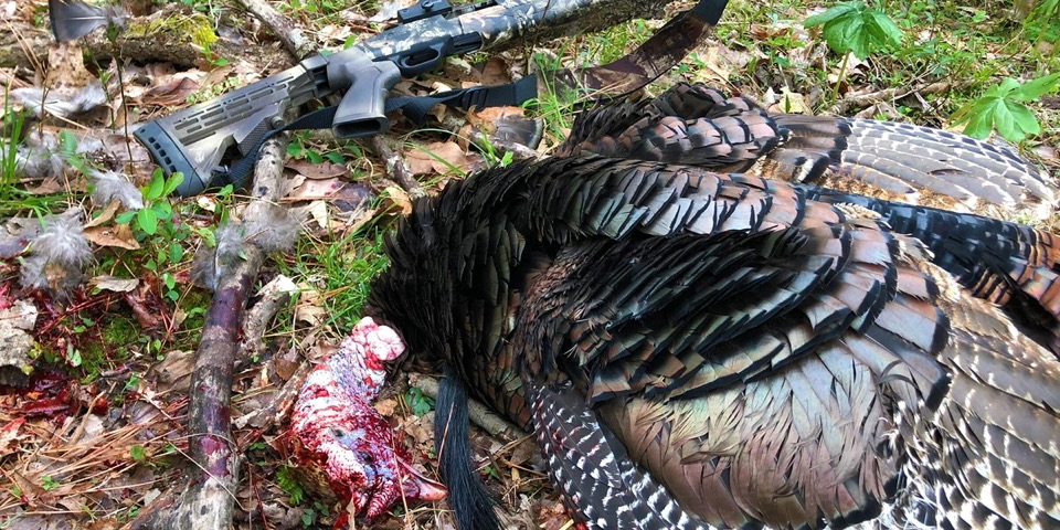 Is the Ultimate Turkey Gun Possible?