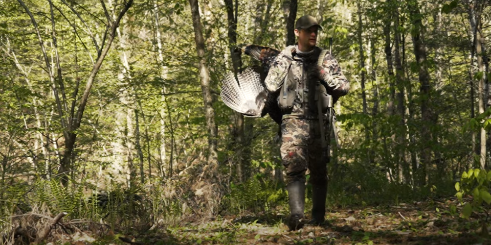The Best Way to Set Up on a Gobbling Turkey