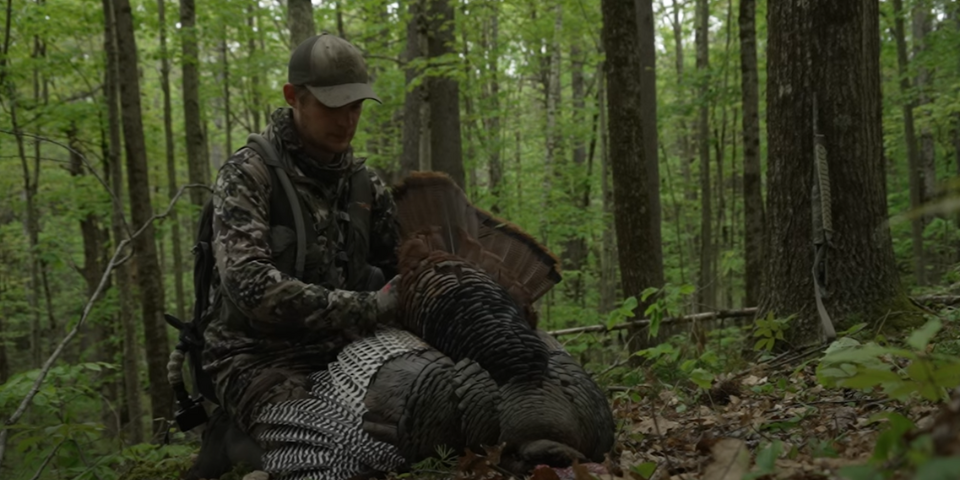 Last Tag, Last Chance: 20 Gauge Turkey Hunting