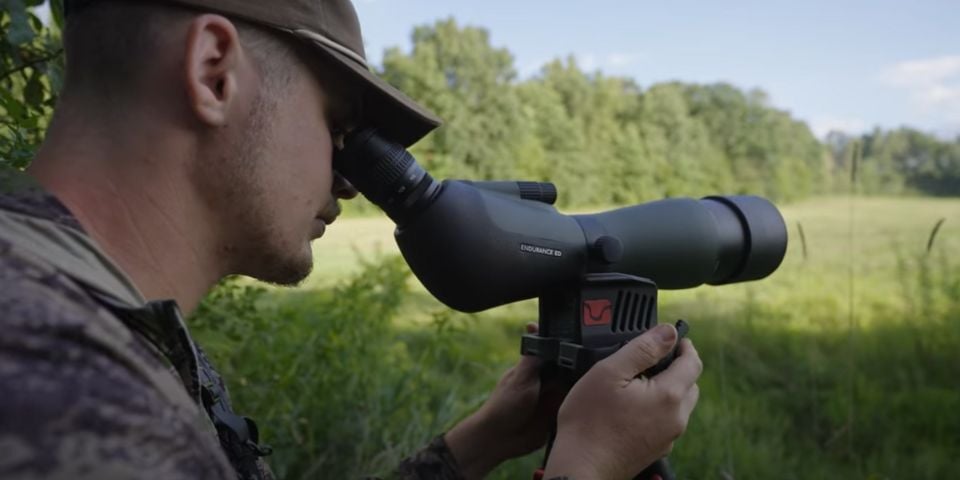 Why Observation Sits Work in Early Season Deer Hunting