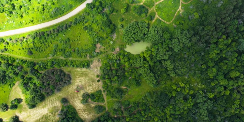 3 Facts You Need to Know Before Buying a Deer Hunting Farm