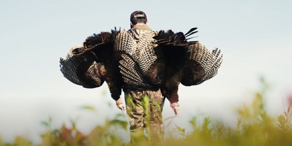 Tagged Out in Maine