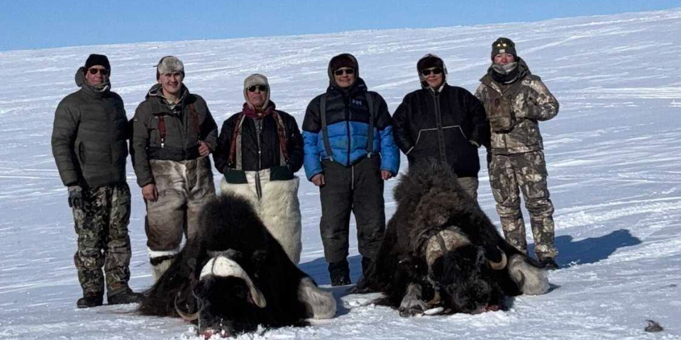 An Incredible Musk Ox Hunt