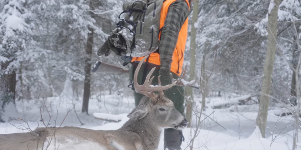Late-Season Whitetail Tips | Finding Bucks in Snow, Cold, and Pressure