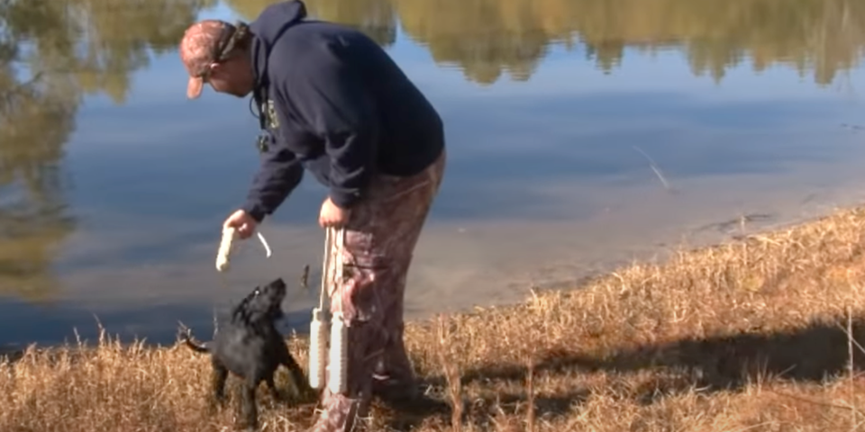 How To Introduce A Duck Dog To Water - Mossberg's Rugged American Hunter
