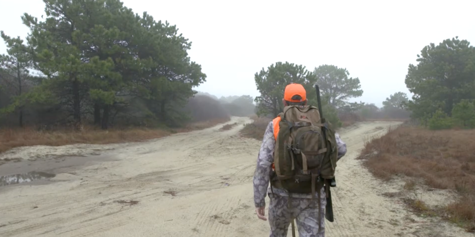 THE HUNGER: Whitetails of Nantucket Island