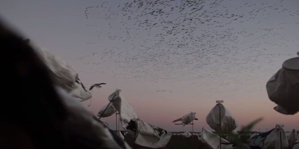 Early Season Goose Hunting in New York | The Waterfowl Collective - EP. 1