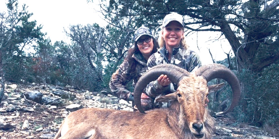 Six Reasons to Hunt Aoudad in Your Lifetime