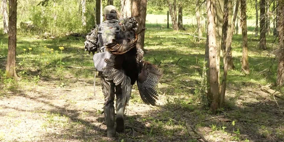 Turkey Hunting Strut Zones Late Season