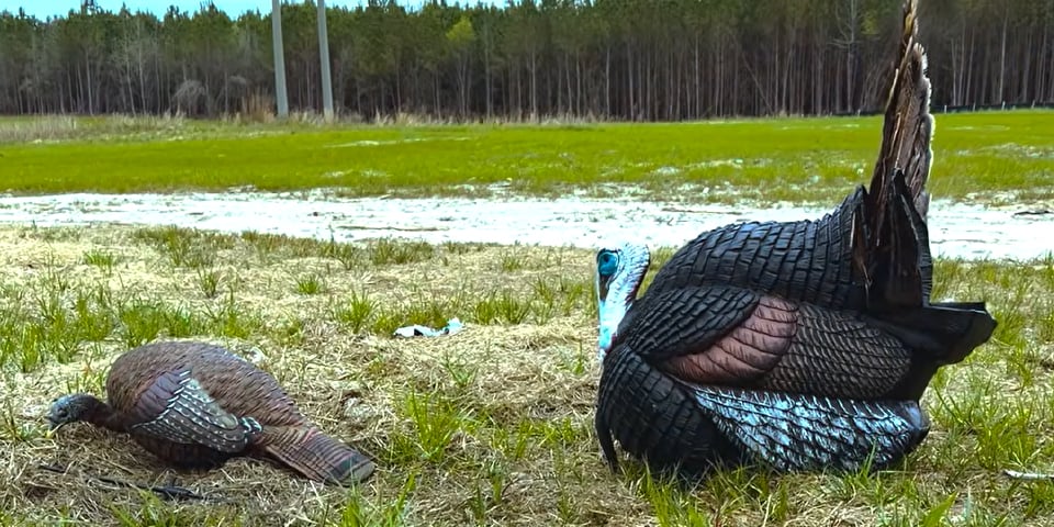 Why this 2-Decoy Setup Crushed Every Other Configuration