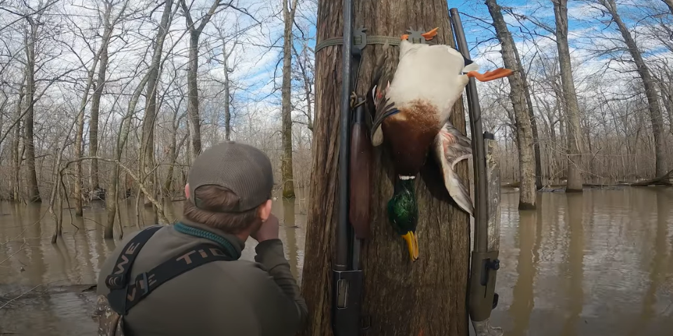 Arkansas Flooded Timber Duck Hunting