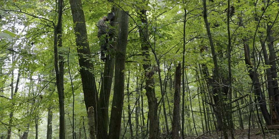 Why Your Best Deer Stand Might Be a Bad Setup