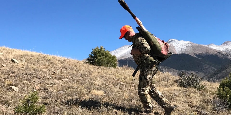 Choosing Between DIY Elk Hunting vs Guided Elk Hunts