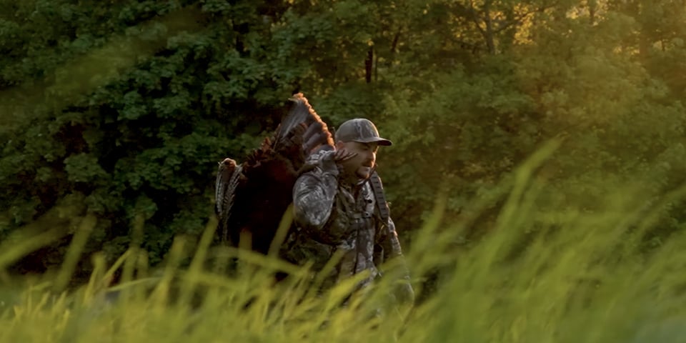 Late Season Turkey Hunting: How to Find & Strike Lonely Gobblers