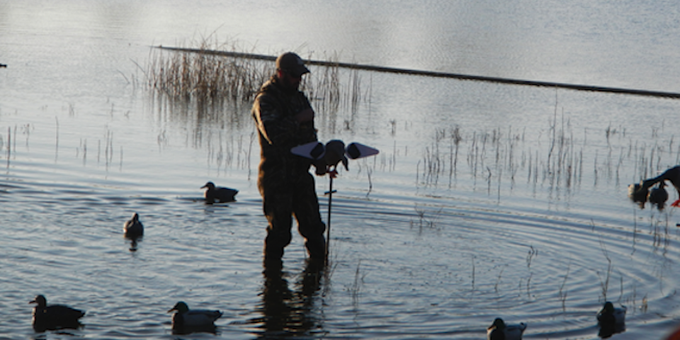 Mallards on Small Water | The Waterfowl Collective – Ep. 10