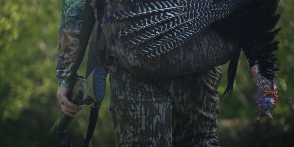 New Hampshire Longbeard - Turkey Hunting Stubborn Birds