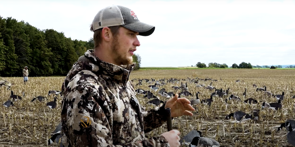 Setting Bigger Spreads for Migrating Geese