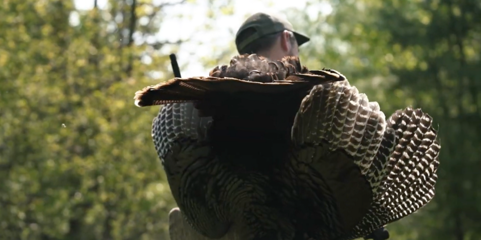 Fast and Furious Hunt For a Gobbler